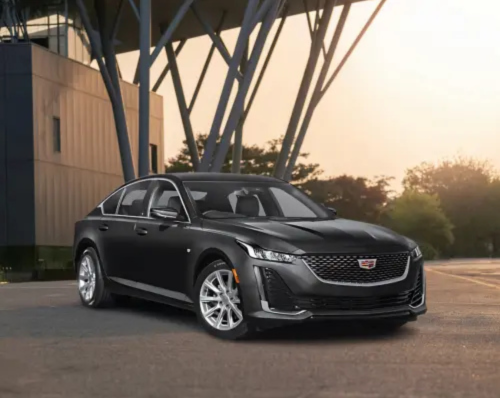 Best BLack car Service