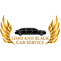 Limo and Black Car Service (DLBCS)
